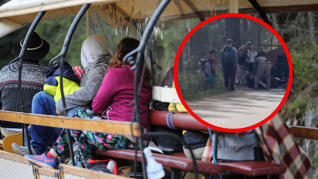 Koń przewrócił się na trasie do Morskiego Oka. Mężczyzna uderzył zwierzę [WIDEO]