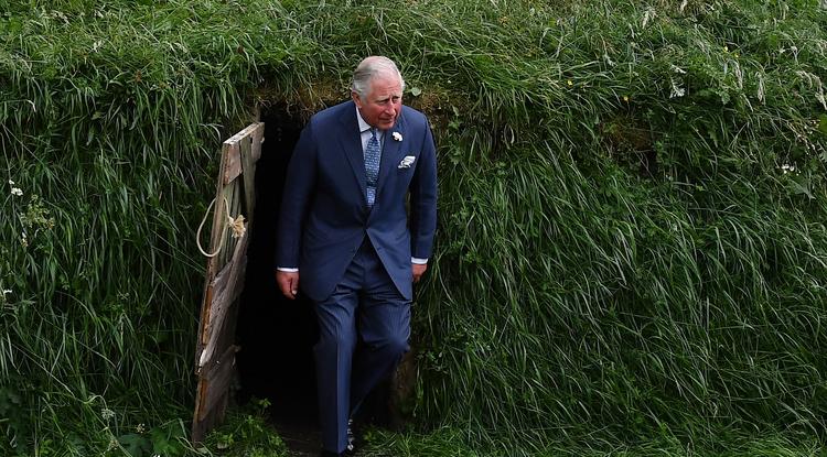 Károly király állapotáról jött a hír Fotó: Getty Images