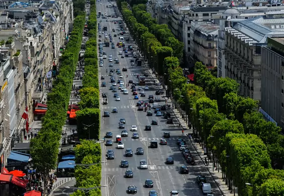 Paryż chce zadbać o pieszych. Ograniczenie do 30 km/h niemal w całym mieście