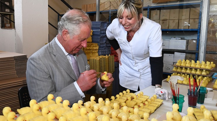 Károly walesi  herceg kacsa alakú szappant fest /Fotó: AFP