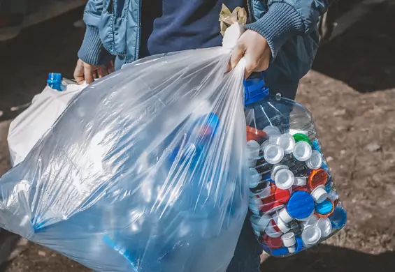 Powstał ekologiczny plastik z papieru i enzym, który rozkłada butelki PET w dobę