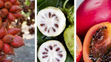 Czy rozpoznasz te egzotyczne owoce? 25 bardzo trudnych pytań [QUIZ]