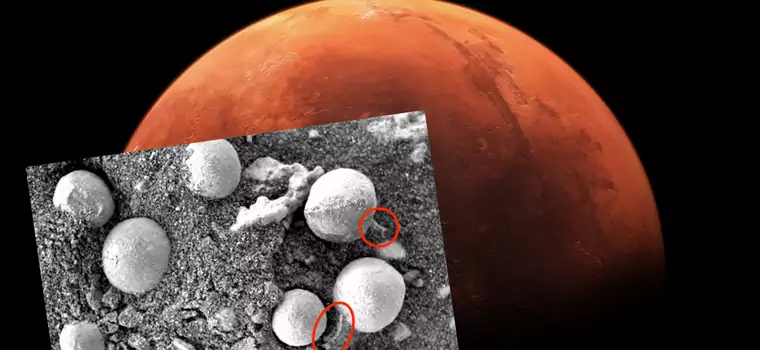 Na Marsie rosną grzyby? Międzynarodowy zespół naukowców jest o tym przekonany
