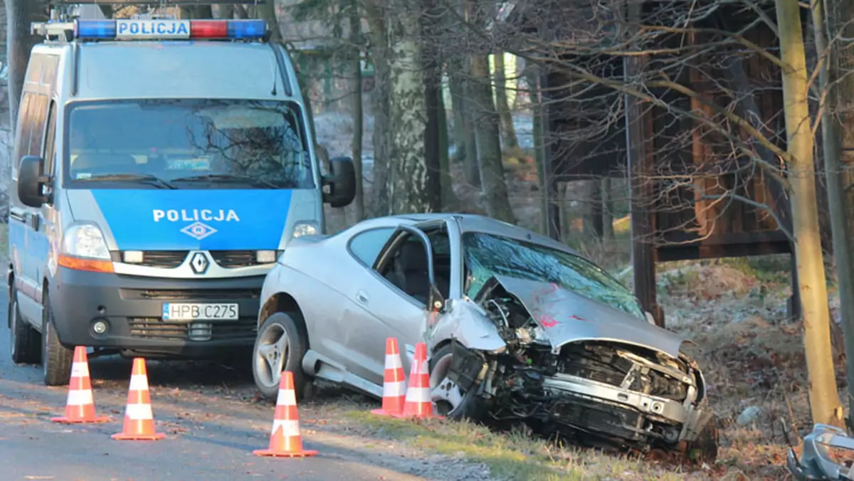 Wypadki z udziałem dzikich zwierząt - Zwierzę na drodze? Nie warto omijać!