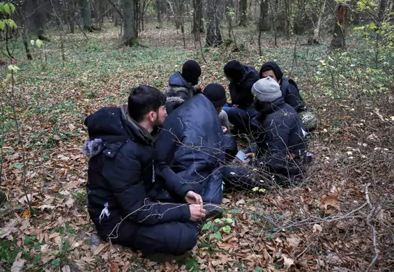 W lesie przy granicy nadal są ludzie. "Boimy się powtórki dramatu z zeszłego roku"