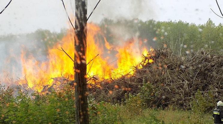 Erdőtűz Csévharasztnál / Fotó: Monori Hivatásos Tűzoltó-parancsnokság