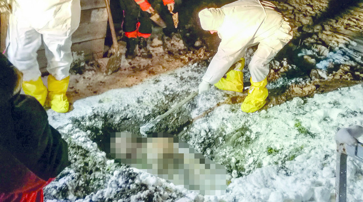 A meggyilkolt
férfi testét
egy emésztőgödörbe
vetették
és elásták /Fotó: Zsaru Magazin