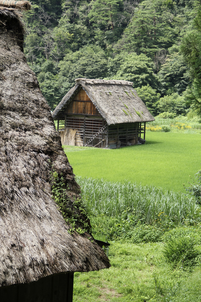 Shirakawa-go