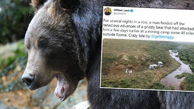 Mężczyzna przez tydzień odpierał ataki niedźwiedzia na Alasce