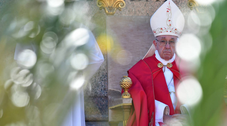 Ferenc pápa a virágvasárnapi szentmisén / Fotó: AFP