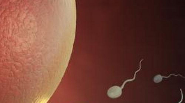 6 legenda: minden, amit rosszul tudsz a spermáról!