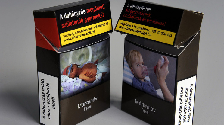 A kormányrendeletnek megfelelő cigarettásdoboz-minta / Fotó: MTI