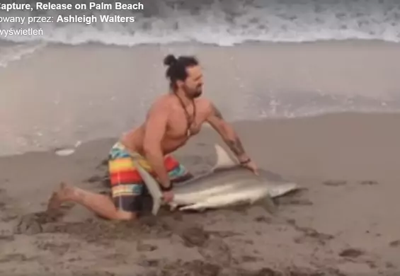Mężczyzna wyciągnął rekina na brzeg, żeby zrobić sobie z nim zdjęcia