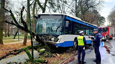 Groźny wypadek w Sopocie. Autobus staranował drzewo