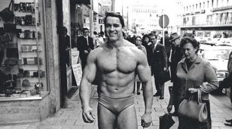 Melegnek hitték Schwarzeneggert