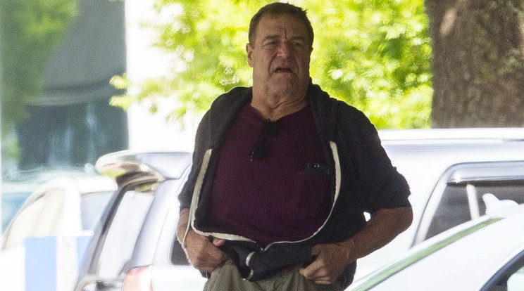 John Goodman nagyon le van épüve - Fotó: Northfoto