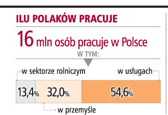 Ilu Polaków pracuje