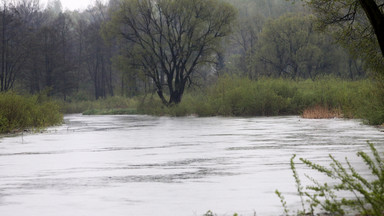 Śląskie: lokalne podtopienia i nadal wysoki poziom wód w rzekach