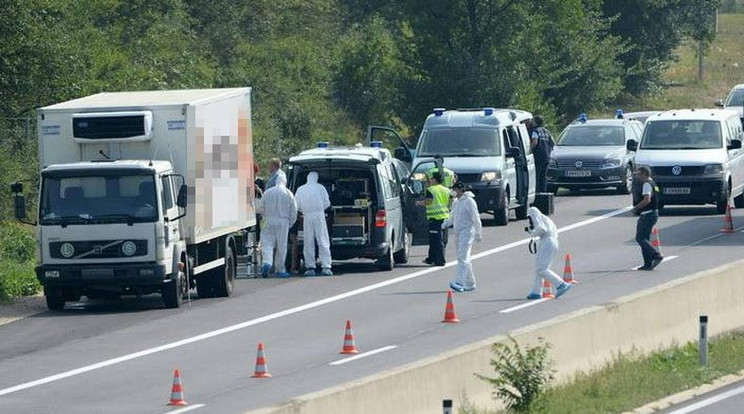 Ebben a teherautóban találáták meg a holttesteket / Fotó: MTI