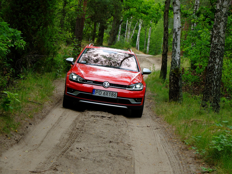 Volkswagen Golf Alltrack