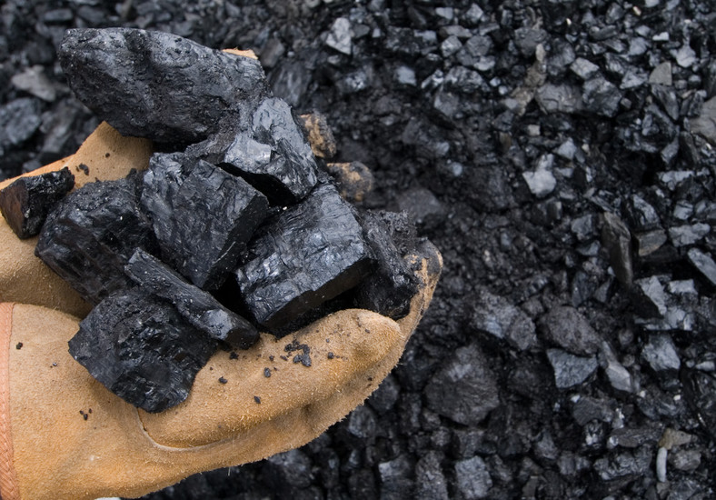 Wniosek polskich producentów o wszczęcie postępowania antydumpingowego w sprawie rosyjskiego węgla powinien być gotowy i złożony do końca 2010 roku
