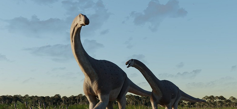 Tytanozaur z Patagonii: odkrycie nowego gatunku