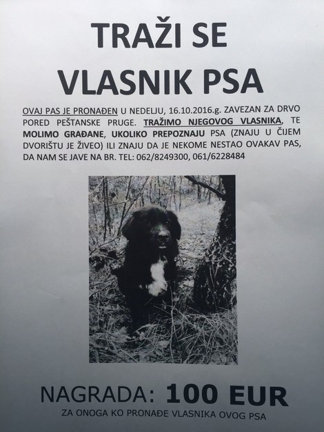 Ljubitelji pasa oblepili suboticu plakatima