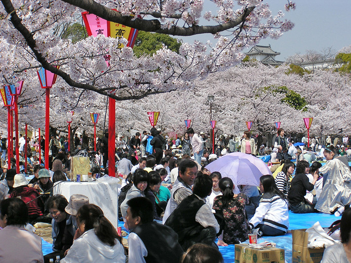 Japonia