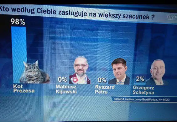 Kot prezesa z większym szacunkiem niż opozycja? Zaskakujący sondaż w "Wiadomościach" TVP