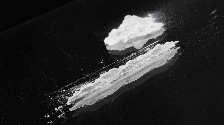 Kokaint akart csempészni a brazil férfi / Illusztráció: Northfoto