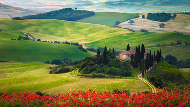 Toskania - atrakcje turystyczne winiarskiego regionu nie tylko we Florencji