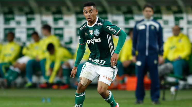 Gabriel Jesus tehetsége vitathatatlan, idővel az is kiderülhet, hogy mire képes Európában /Fotó: AFP