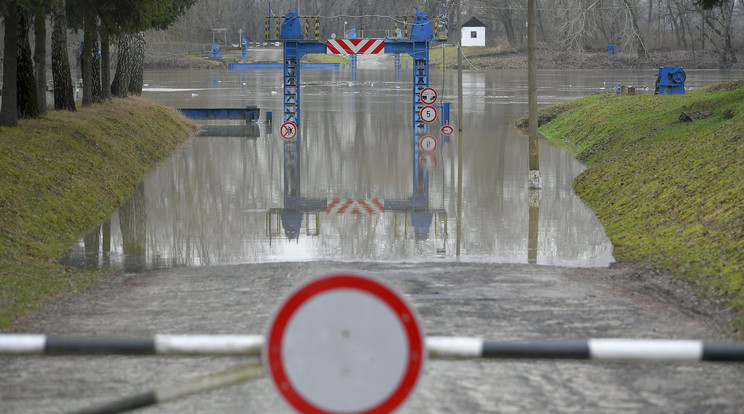 Az áradó Tisza egy tiszadobi pontonhídnál / Fotó: MTI Czeglédi Zsolt