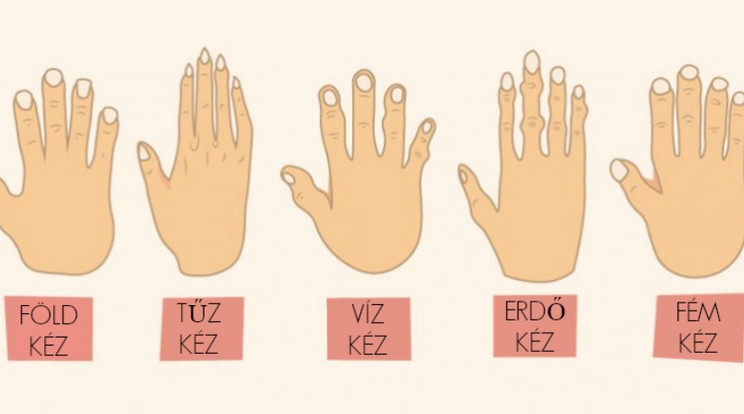 kézforma és személyiség
