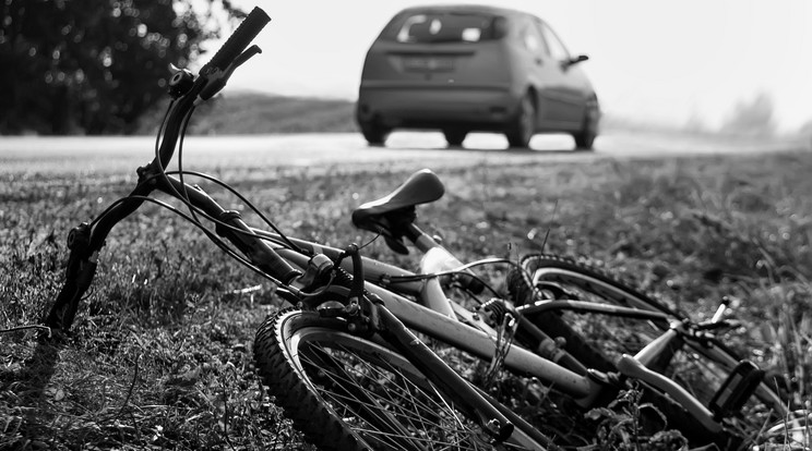 Elkapták a rendőrök a gyömrői gázolót/Fotó:-SHUTTESRTOCK