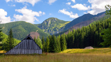 Popularny szlak w Tatrach ponownie otwarty; niedźwiedzica z młodymi oddaliła się
