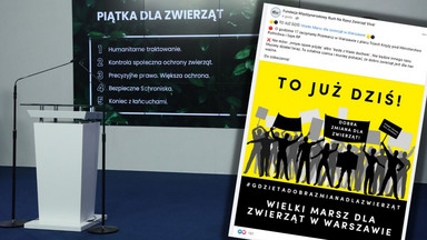 Wielki marsz obrońców praw zwierząt w Warszawie. Będą protestować przed Sejmem