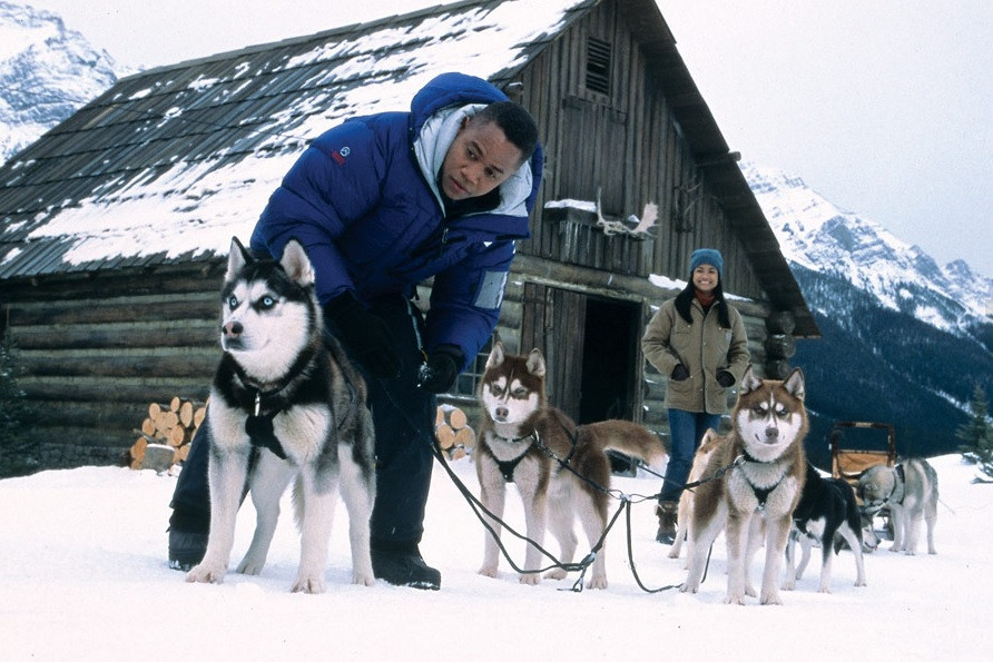 "Śnieżne psy", 2002 r.