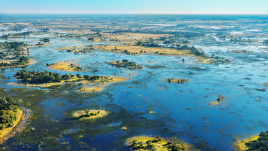 Niezwykłe królestwo zwierząt - delta Okavango