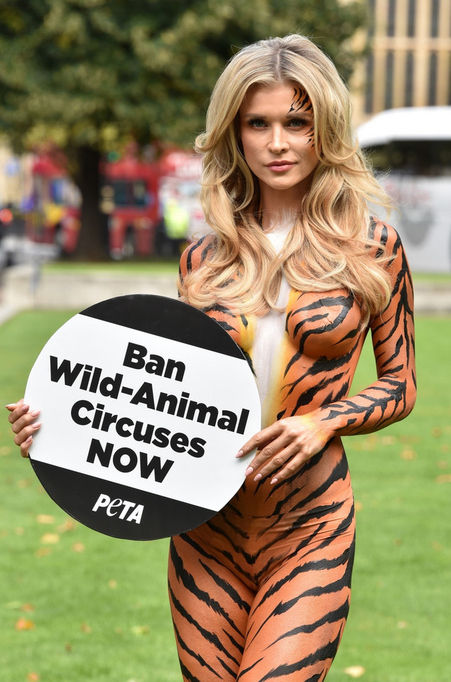 Joanna Krupa sprzeciwia się wykorzystywaniu zwierząt w cyrku