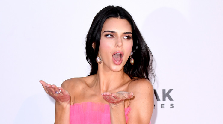 Kendall Jenner teret sem hagy a képzeletnek / Fotó: Northfoto