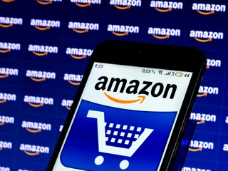 Wchodzący na polski rynek Amazon nie powinien zagrozić krajowym start-upom. Co więcej, młodzi przedsiębiorcy będą mogli niemało ugrać na globalnym marketplace