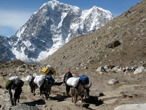 Szerpowie, życie z widokiem na Everest