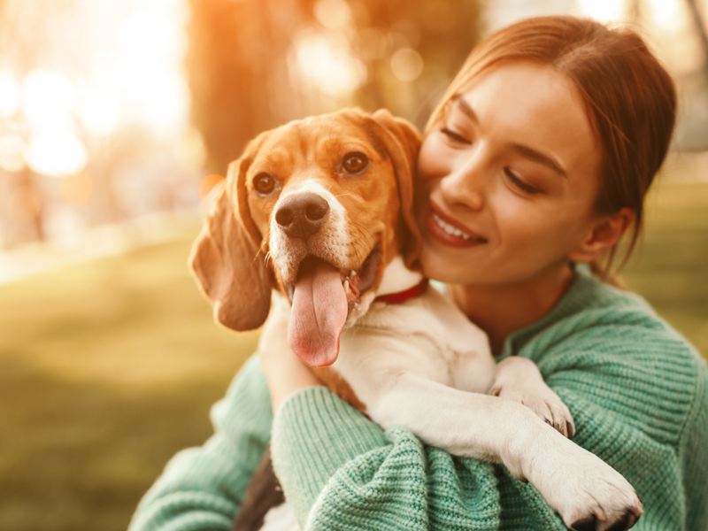 6 szokás, ami megrövidítheti a kutyád életét, és még csak nem is tudsz róla!