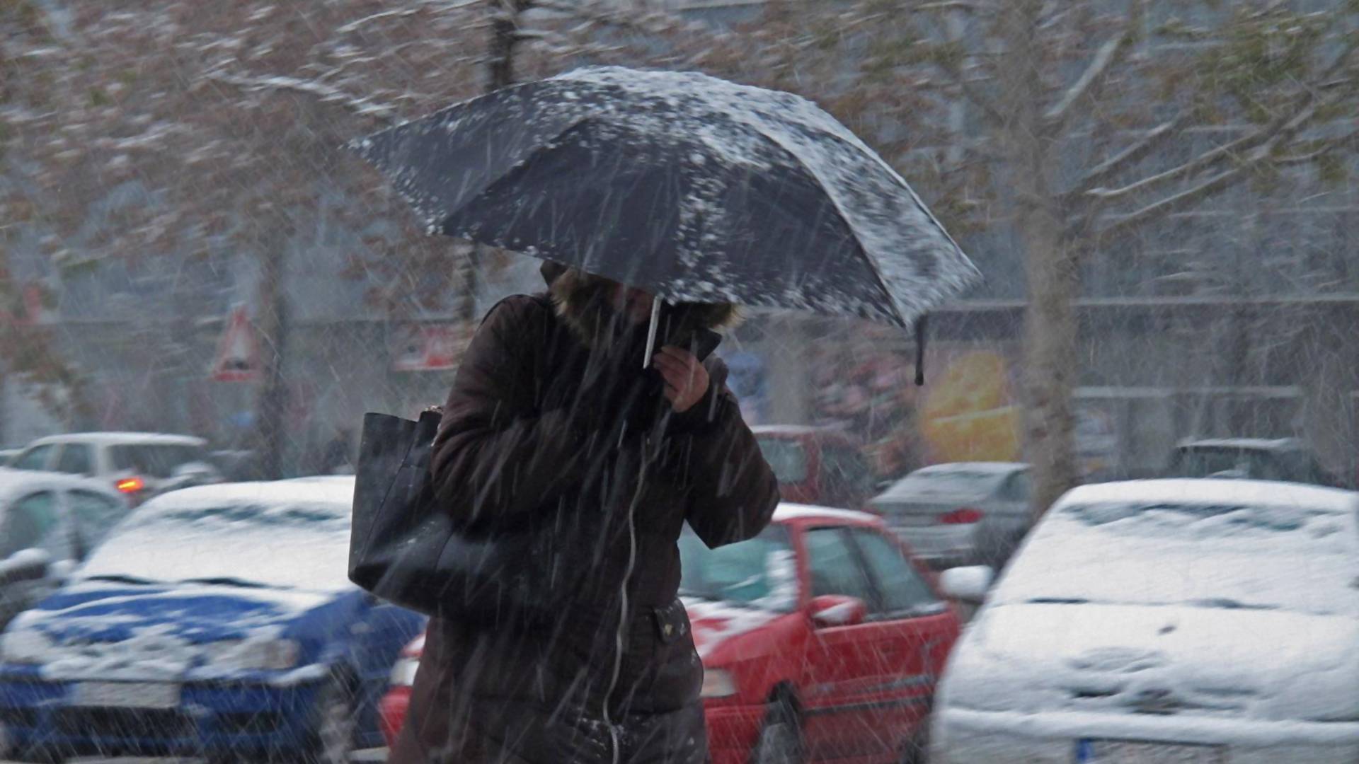 Ne bismo da dižemo paniku, ali izgleda da je zima stvarno stigla