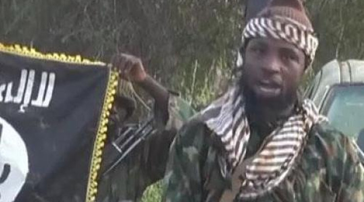 Lefejezett egy pilótát a Boko Haram