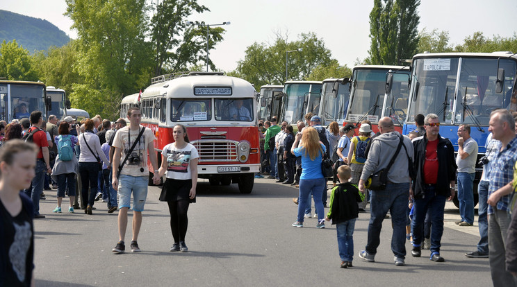 Nemzetközi Ikarus találkozó Tapolcán - Fotó: MTI Máthé Zoltán