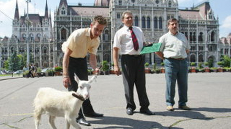 Nem kérte Orbán az árvízi kecskét