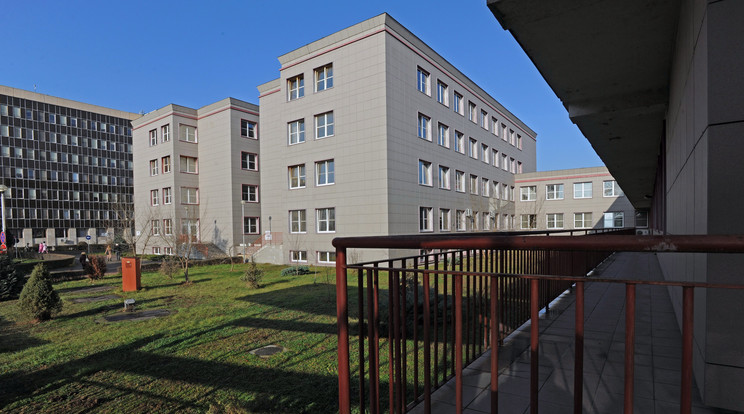 A Kenézy kórház 6. emeletéről esett ki a nő/Fotó: MTI Oláh Tibor