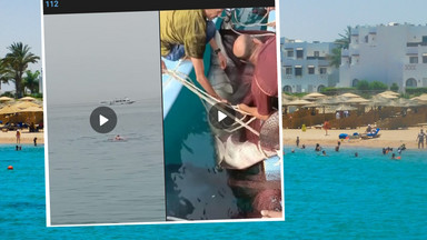 Śmiertelny atak rekina w Egipcie. Ojciec 23-latka zabiera głos
